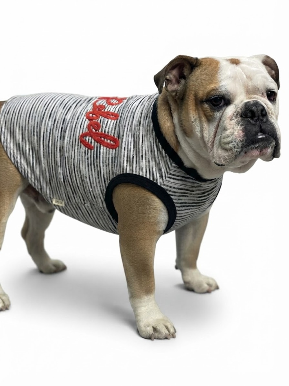 Reddy Dog T-Shirt NWT XL Gray Striped Rebel Graphic Petco